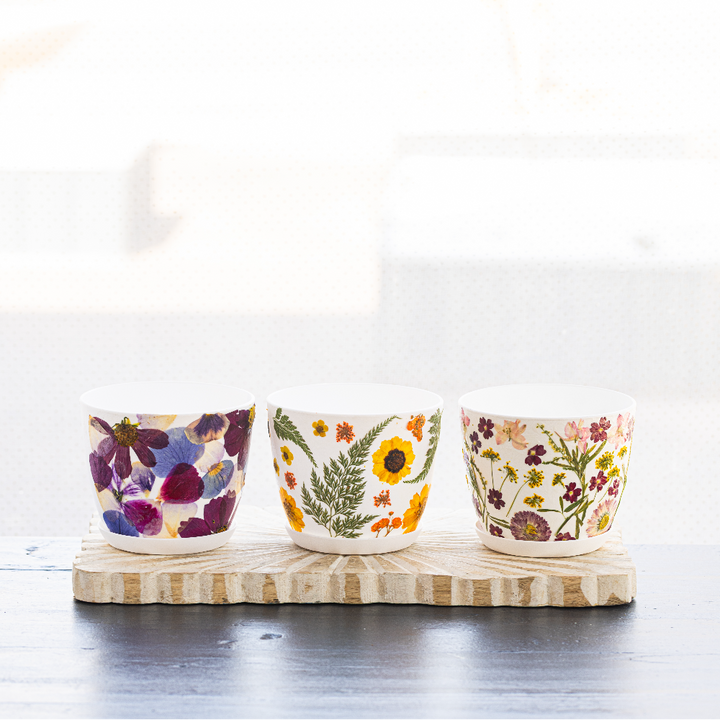 Off-Site Private Pressed Floral Flower Pot Workshop - Magic Mind x Gravity Haus + Sunday, July 20, 2025 at 10:00 AM