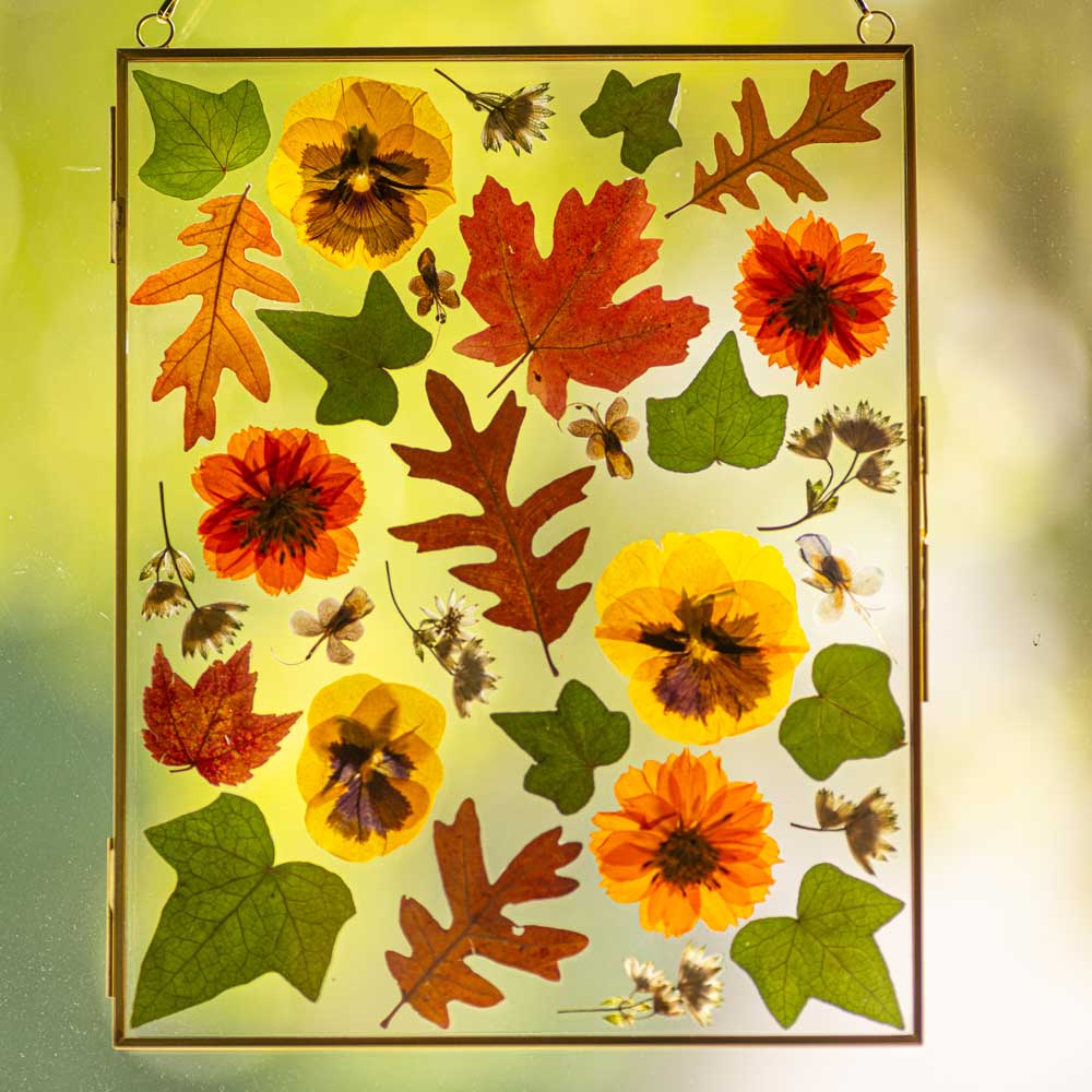Off-Site Private Pressed Floral Frame Workshop - Amber Bandukwala + Wednesday, May 28, 2025 at 6:00 PM
