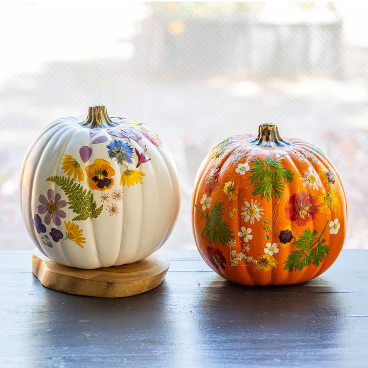 Pressed Floral Pumpkin Workshop - Saturday, October 24, 2026 at 5:00 PM