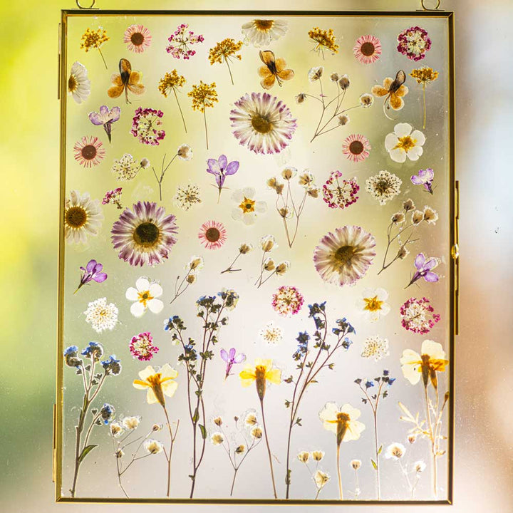Off-Site Private Pressed Floral Frame Workshop - Amber Bandukwala + Wednesday, May 28, 2025 at 6:00 PM