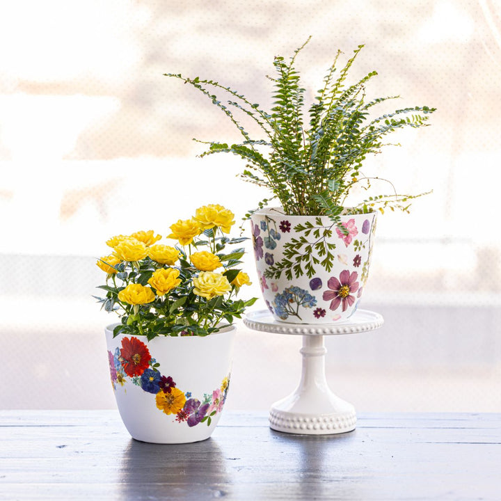 Flower Pot Workshop - Tuesday, August 18, 2026 at 6:00 PM